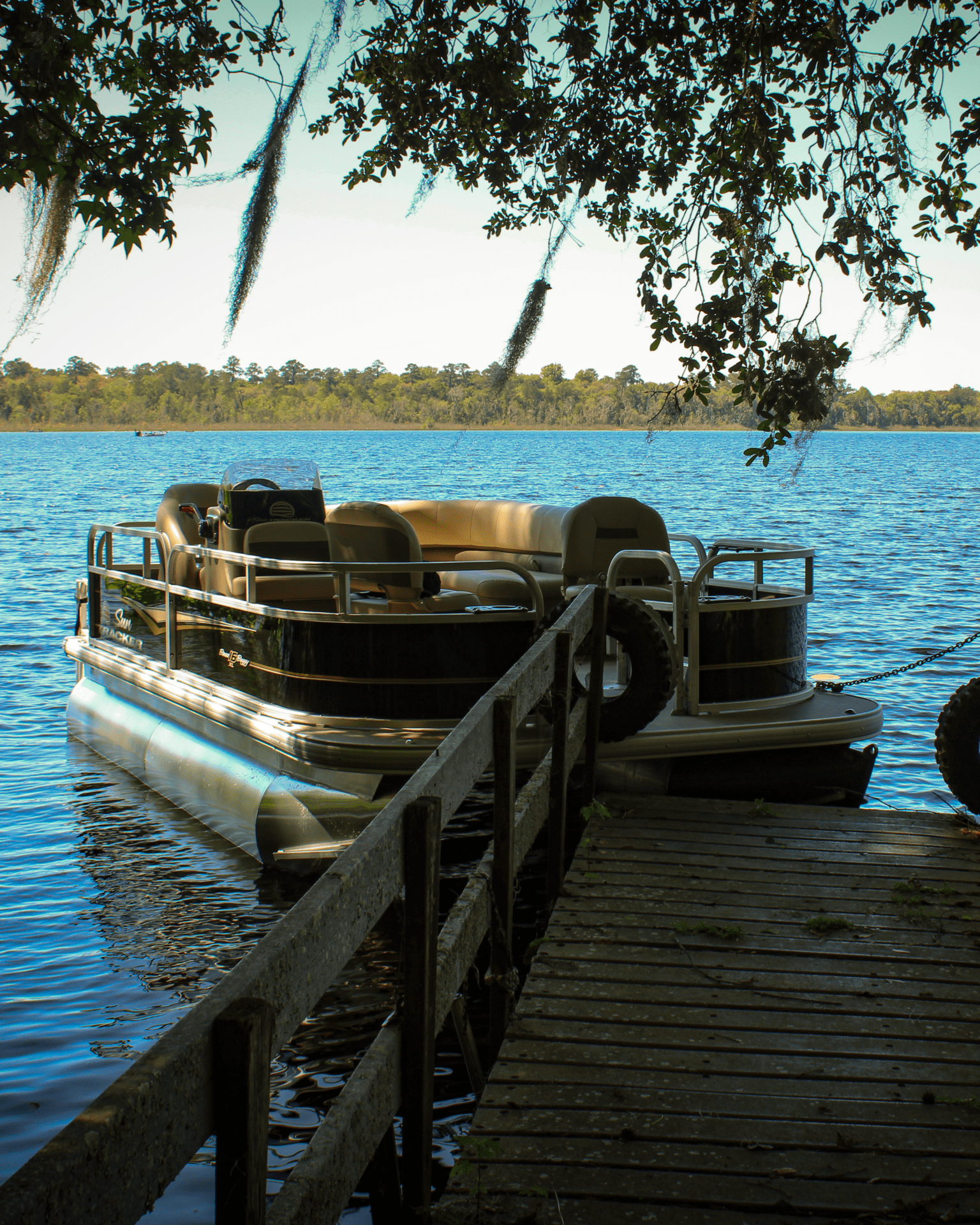 grassy-pond-boat
